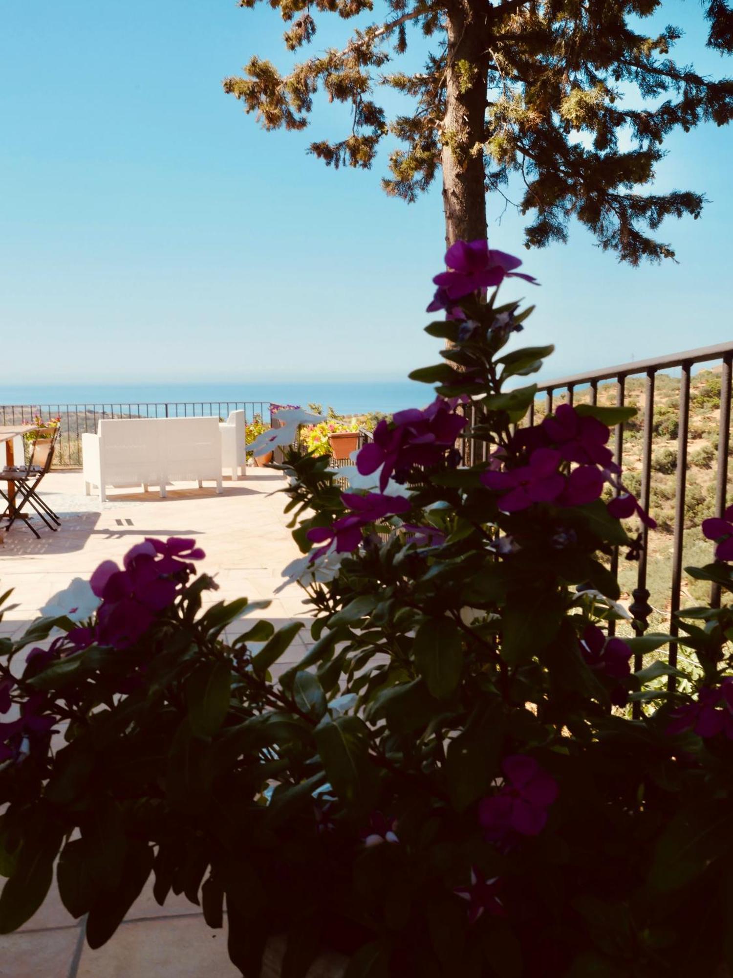 Villa Immersa In Oliveto Vista Mare Sciacca Exterior photo